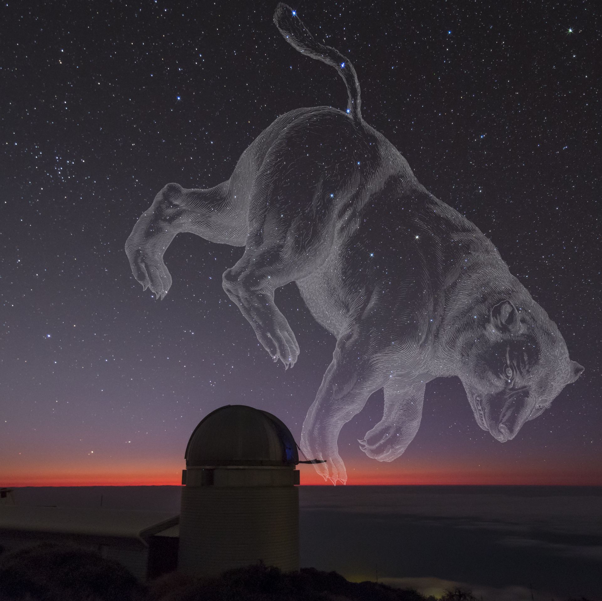 Asztrotájkép külföld