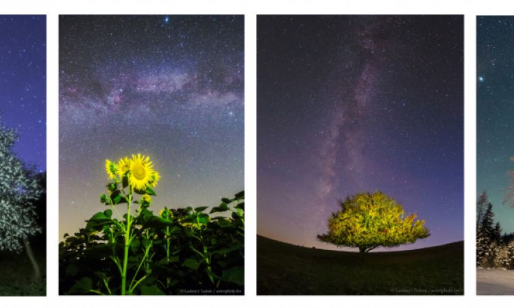 Égi és földi - kritika